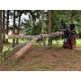 Wallenstein Mini-Skid Steer Log Grapple Model LXG210S